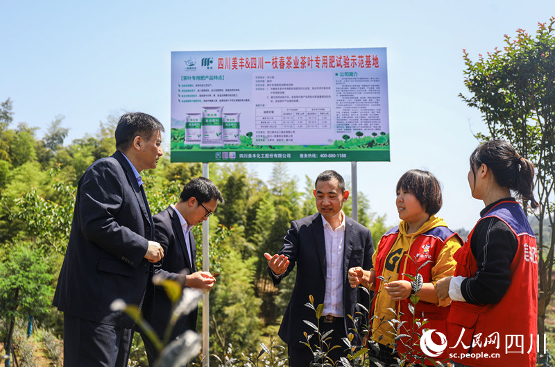 創建的農產品示范基地。鄧潤攝