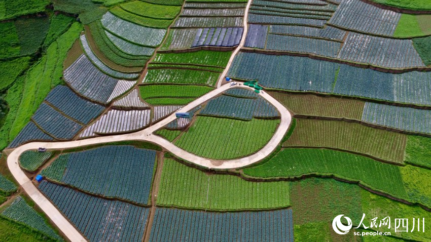 金陽縣南瓦鎮(zhèn)絲窩中心村高山蔬菜基地的水泥路。鄒寧攝