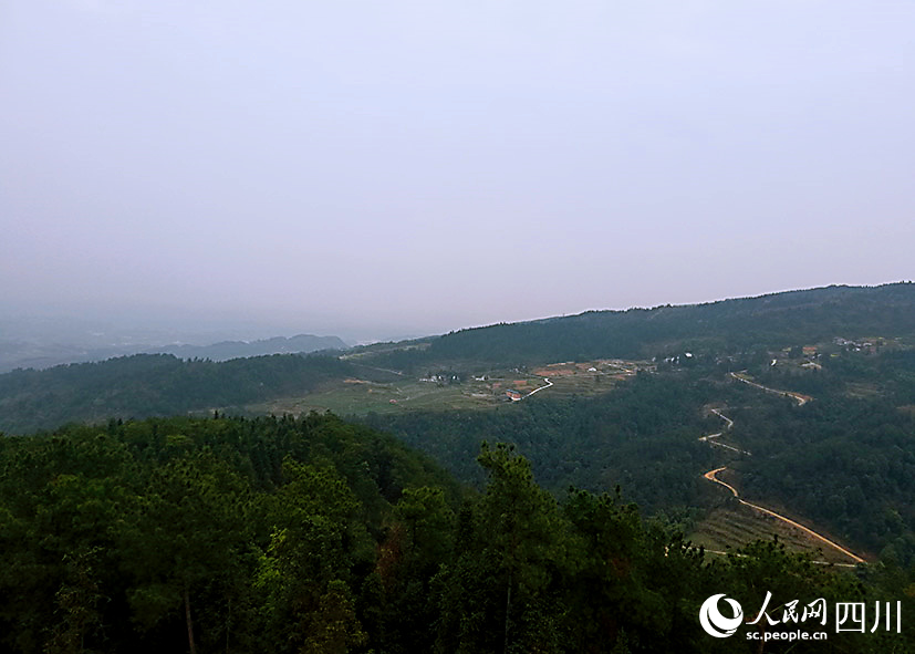 站在攬月樓遠望。李洪峰攝