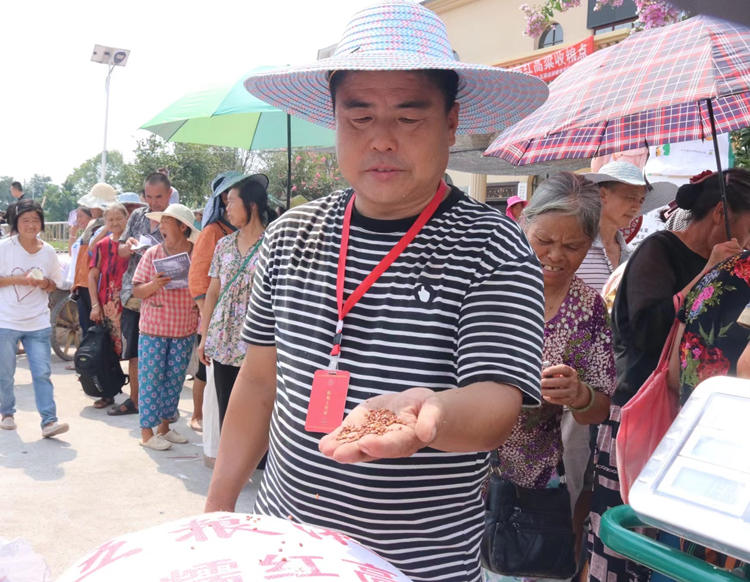 質檢員檢查糧食質量。翠屏區融媒體中心供圖