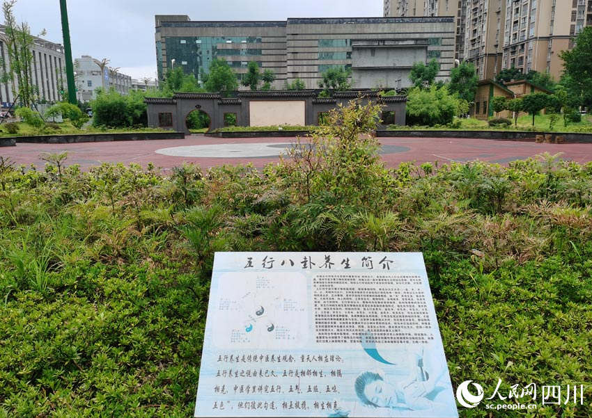 長寧縣中醫醫院中藥材種植園及太極健身廣場。人民網 劉海天攝