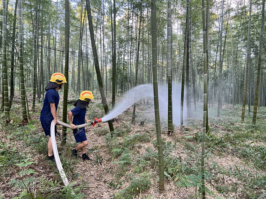 宜賓市消防員在給竹蓀基地澆水。宜賓市消防救援支隊供圖