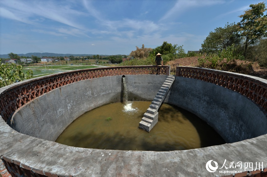 隆昌市胡家鎮(zhèn)雙龍村種植大戶囤蓄沱灌水。王斌攝