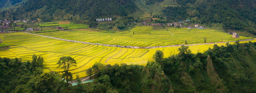 四川省涼山州德昌縣，“中國碗裝中國糧”香稻基地航拍。德昌縣委宣傳部供圖