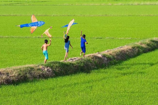 天府糧倉沃野良田。新津區委宣傳部供圖