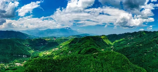 峨眉南山。樂山市生態(tài)環(huán)境局供圖