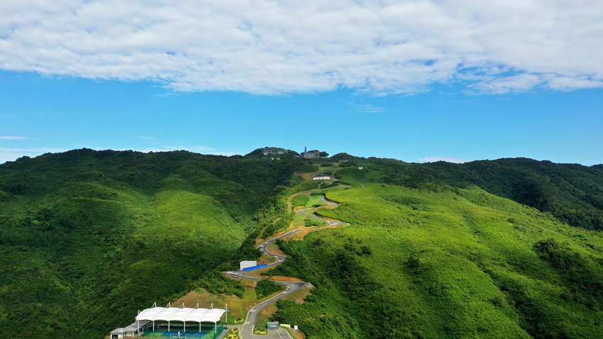 浩瀚的羅漢竹海。代建供圖