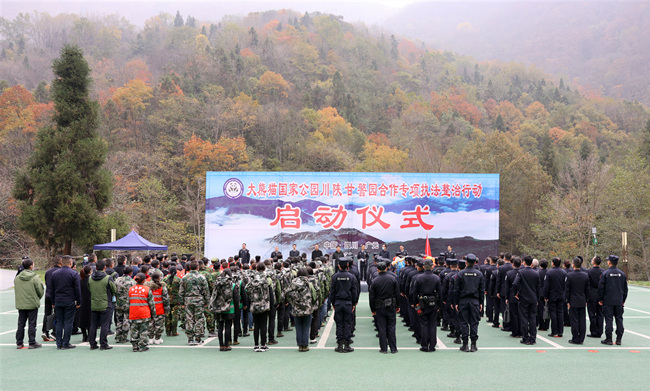 大熊貓國家公園川陜甘毗鄰地區聯合執法整治專項行動啟動。四川省公安廳供圖