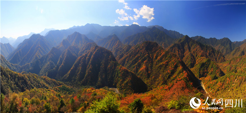 拈花一笑萬山紅。王開晉攝