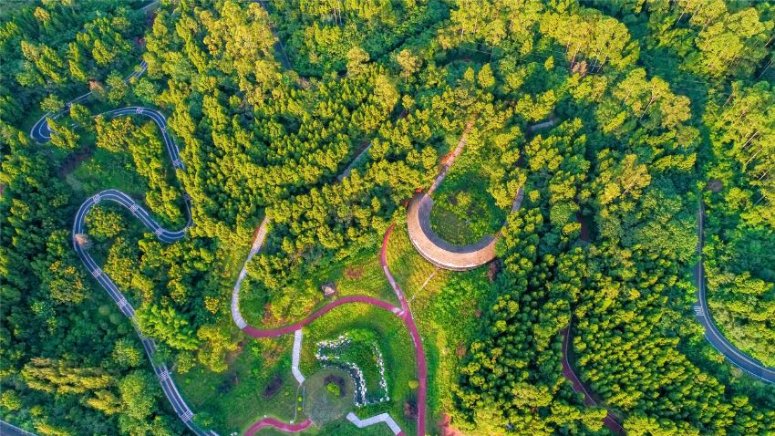 遂寧西山森林公園。遂寧市委宣傳部供圖