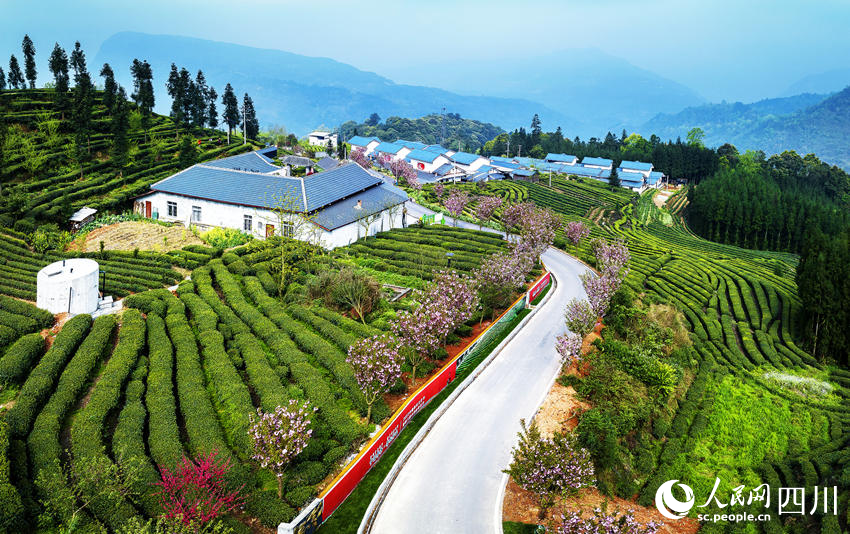 茶山春景圖。何為攝