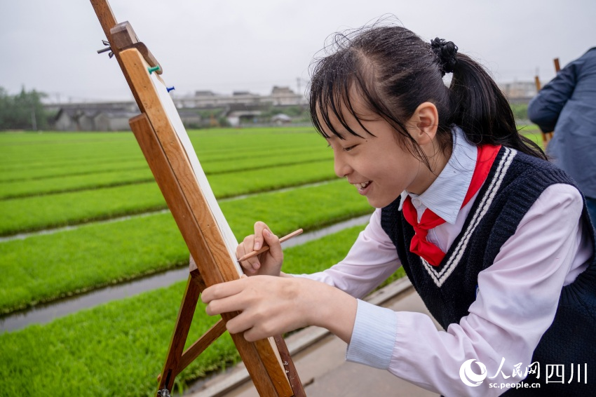 在老師指導(dǎo)下，學(xué)生們在秧田中寫生。翁光建攝