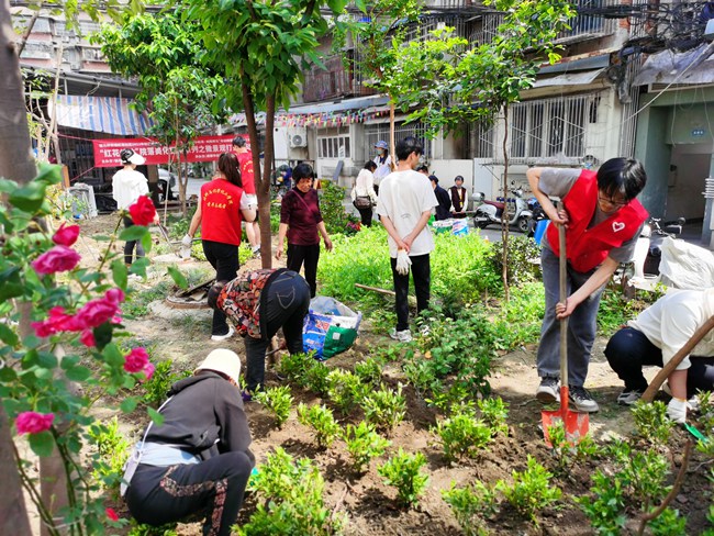 老舊院落的微更新、微改造。紅花社區(qū)供圖