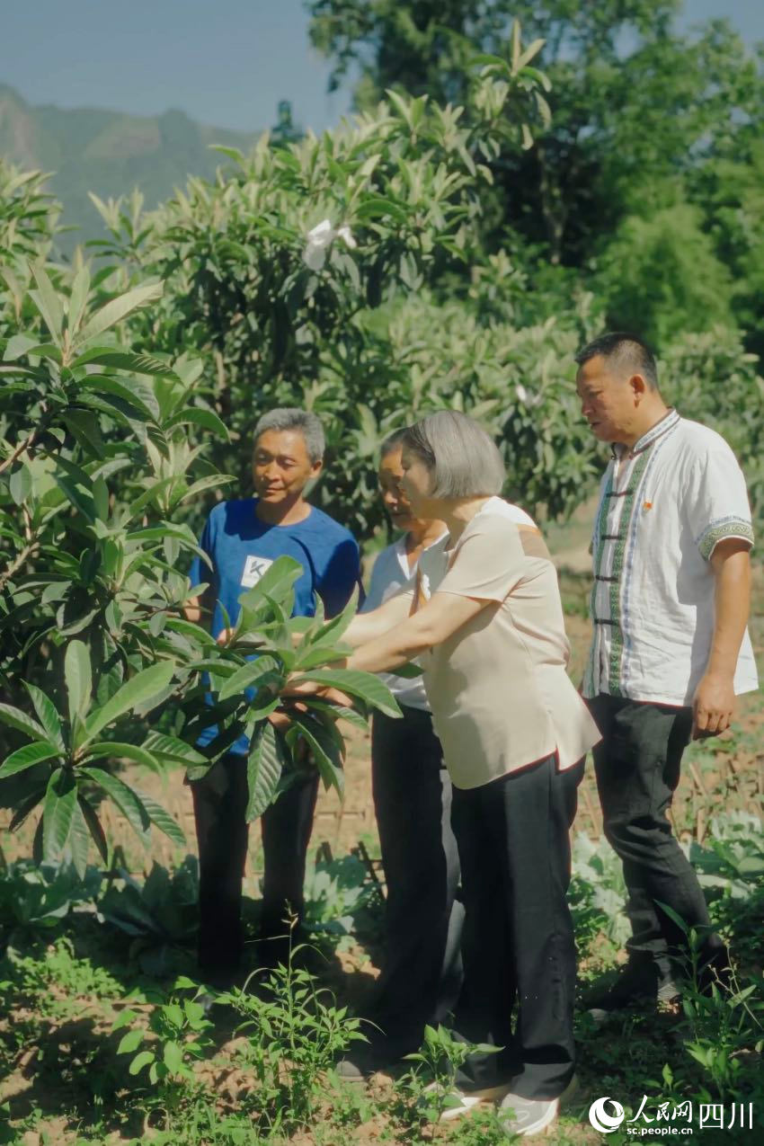 綿陽市農(nóng)科院研究員任茂瓊（前排左一）在果園里，手把手給農(nóng)戶演示如何修枝。人民網(wǎng)記者 張若涵攝