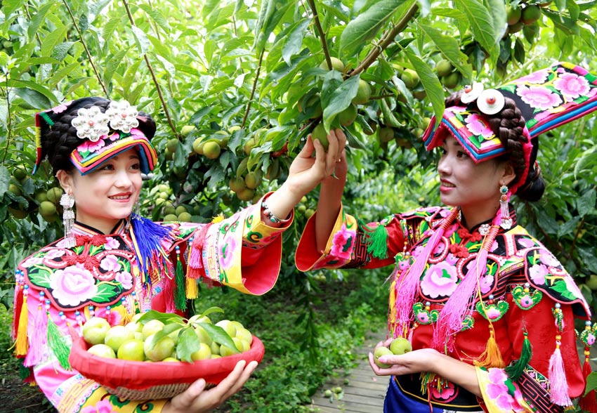 正在勞動的少數(shù)民族女同胞。阿壩州委宣傳部供圖