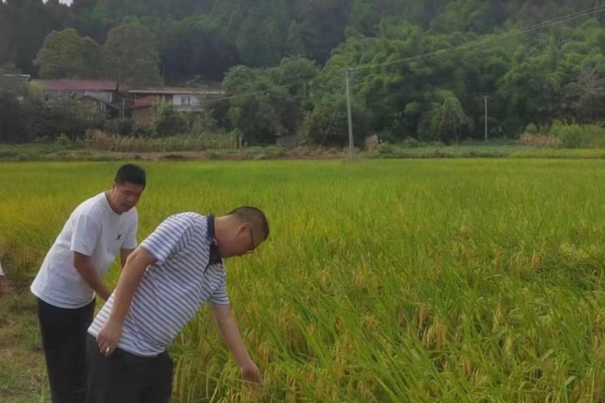 董家埂鎮(zhèn)紀(jì)檢干部到該鎮(zhèn)龍口村實地檢查耕地保護工作。成都東部新區(qū)紀(jì)工委監(jiān)察工委供圖