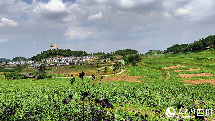 站在遠處眺望海龍村，村美景美。實習生 吳舒婷攝