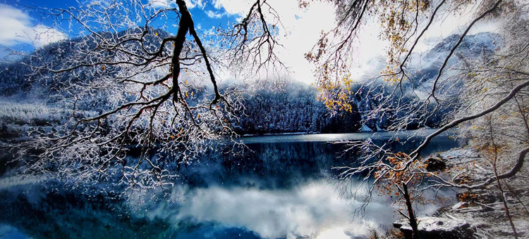 雪景中的彩林、海子。九管局供圖