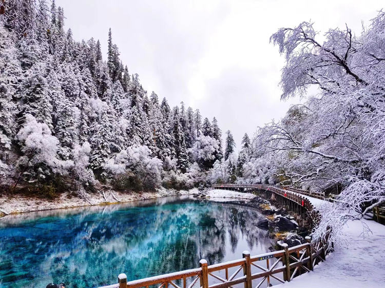 雪景中的五彩池。九管局供圖