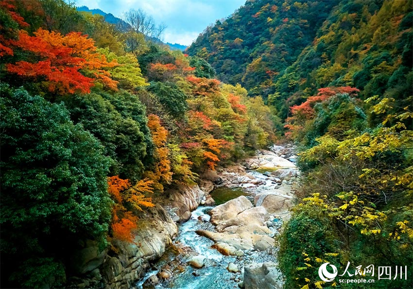 彩林溪流，相映生輝。胡宇攝