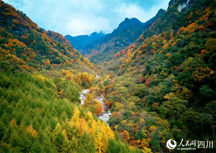 層林盡染，秋色斑斕。胡宇攝