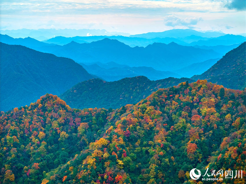 群巒疊嶂，紅葉滿山。胡宇攝