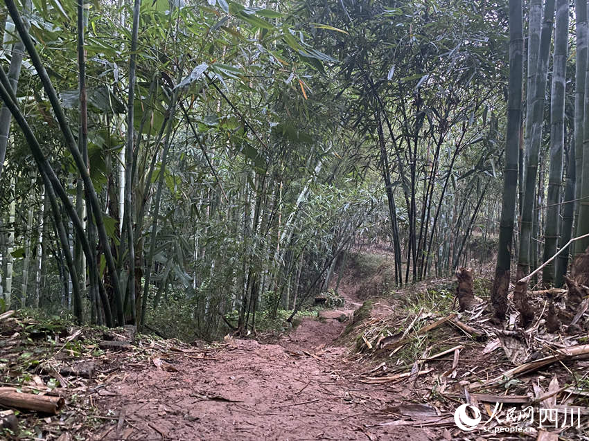 當(dāng)?shù)爻掷m(xù)降雨，山村道路濕滑。人民網(wǎng) 王凡攝