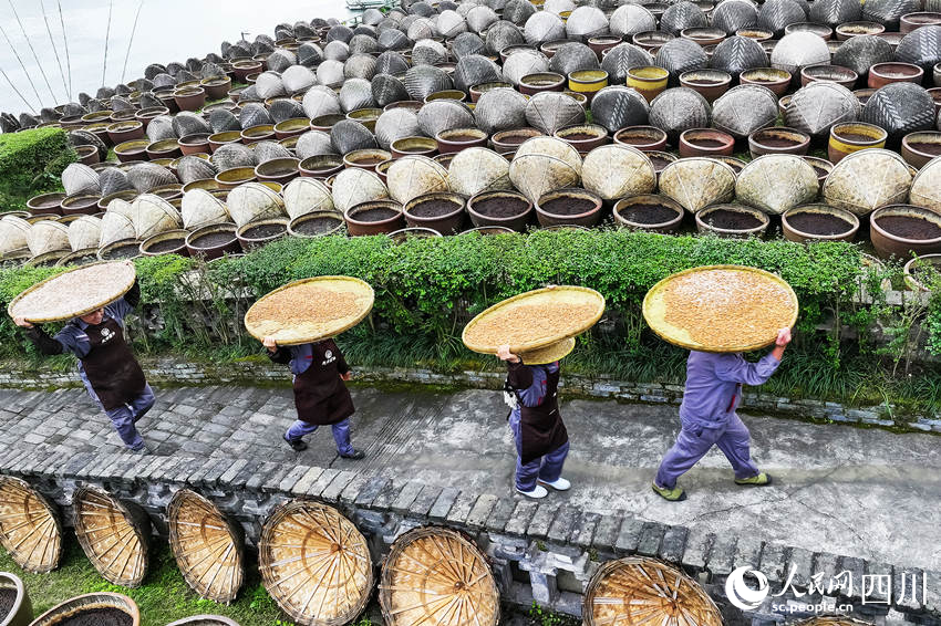 工人在露天曬場里忙碌生產。李貴平攝