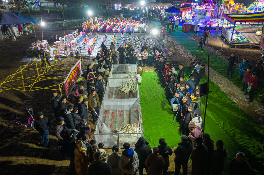 2月1日，群眾在眉山市彭山區金燭村的萬家水碾夜市體驗“套鵝”游樂項目。翁光建攝