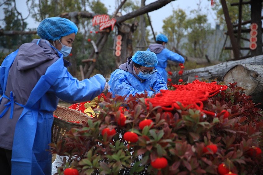 場(chǎng)景布置。成都大熊貓繁育研究基地供圖