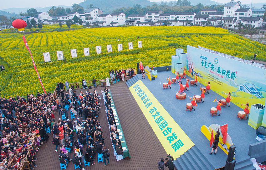 廣安市廣安區花橋鎮的萬畝油菜花爭奇斗艷。花橋鎮供圖