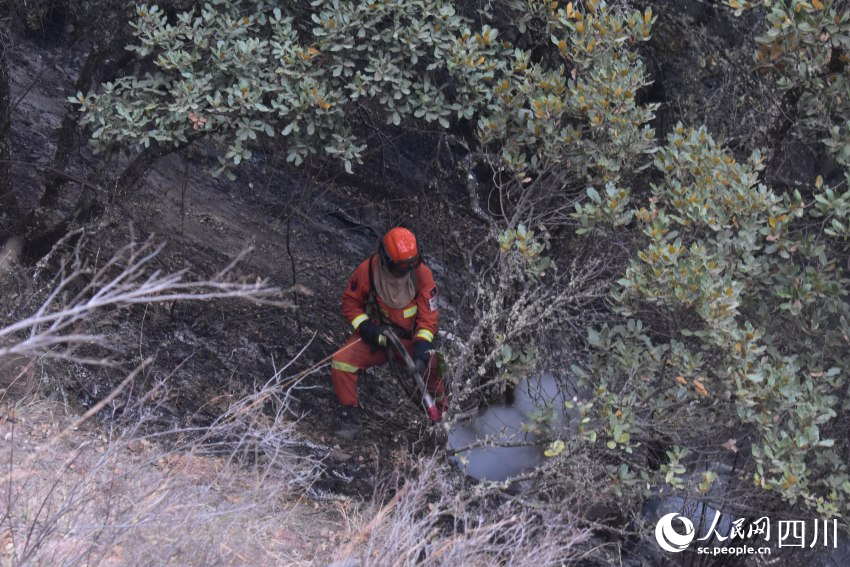 四川省森林消防總隊攀枝花市支隊森林消防員正在全力撲救山火。殷豪良攝