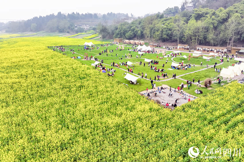 眾多游客前來露營賞花。李貴平攝