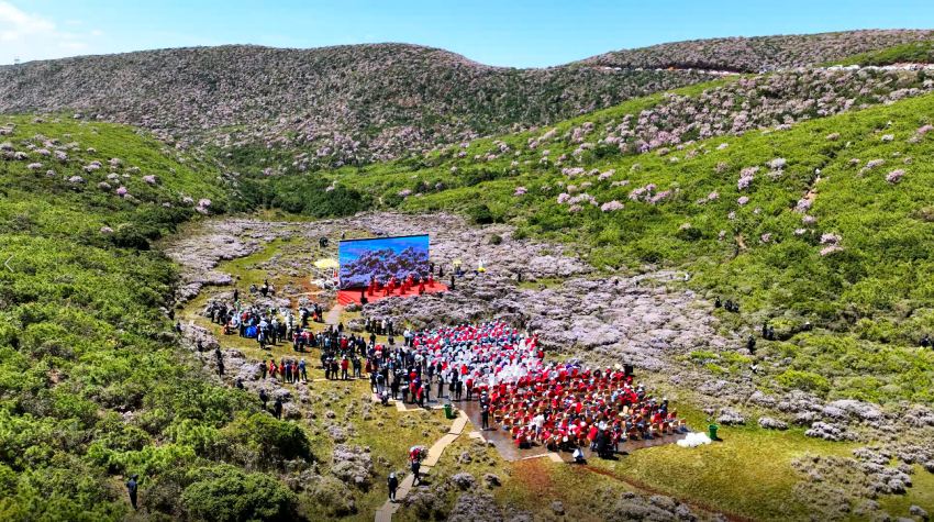 2024清涼涼山·昭覺索瑪花季開幕式現場。昭覺縣融媒體中心供圖