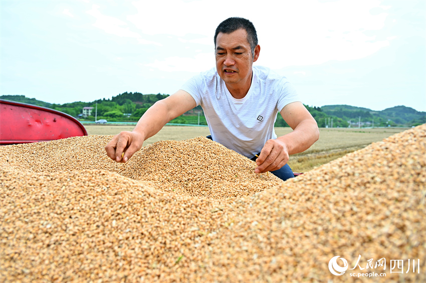 你我盤中餐，粒粒皆辛苦。人民網記者 劉海天攝