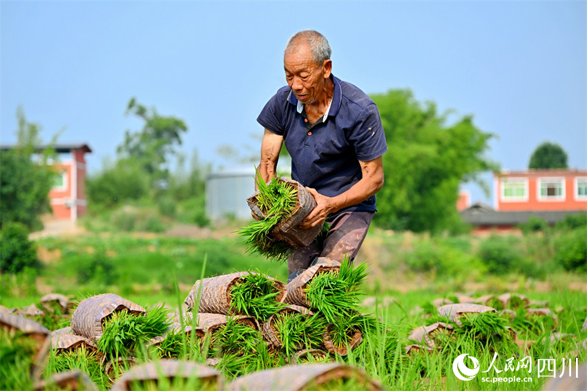 技藝傳承久，美食憶先賢。人民網(wǎng)記者 劉海天攝