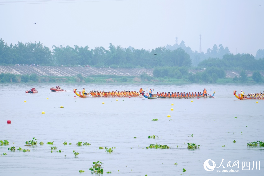 龍舟賽現(xiàn)場(chǎng)。人民網(wǎng) 趙祖樂(lè)攝