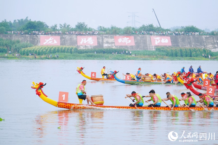 龍舟賽現(xiàn)場(chǎng)。人民網(wǎng) 趙祖樂(lè)攝