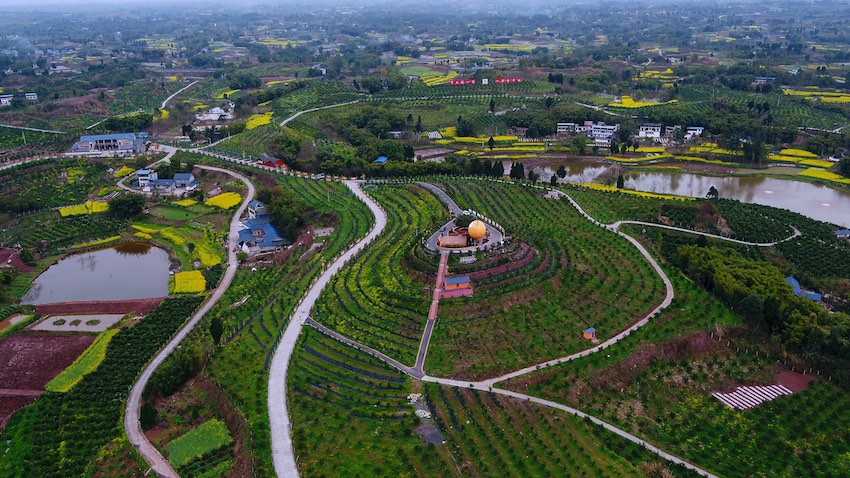 阡陌交錯的農村路。四川省交通運輸廳供圖