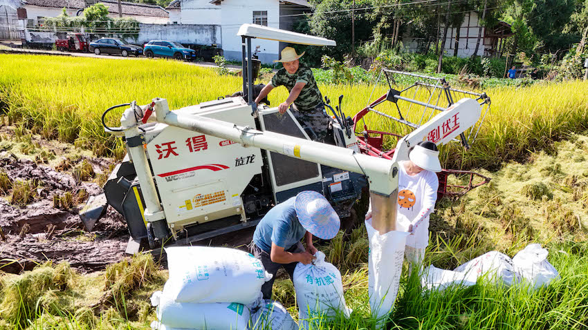 村民們正在裝袋、打包。張書浩供圖