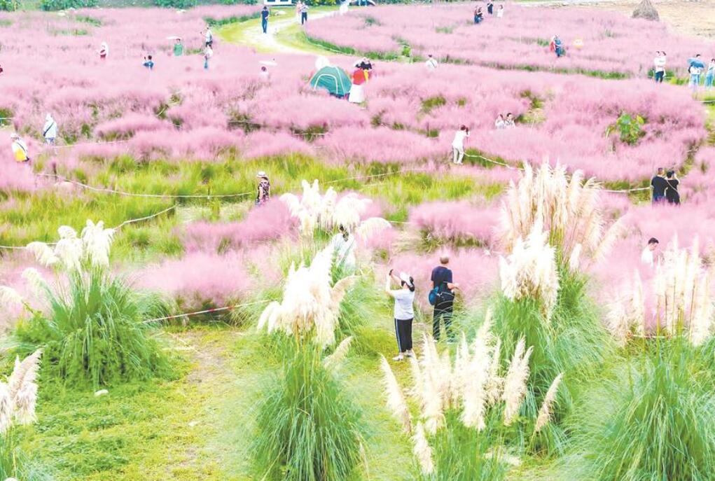 花卉產業綻放公園城市