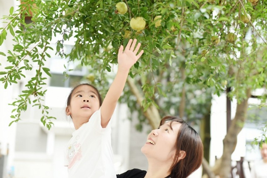 支持兒童成長。成都市金牛區機關第三幼兒園供圖