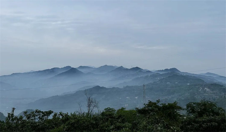 歸院·歸與隱的景色。天府新區融媒體中心供圖