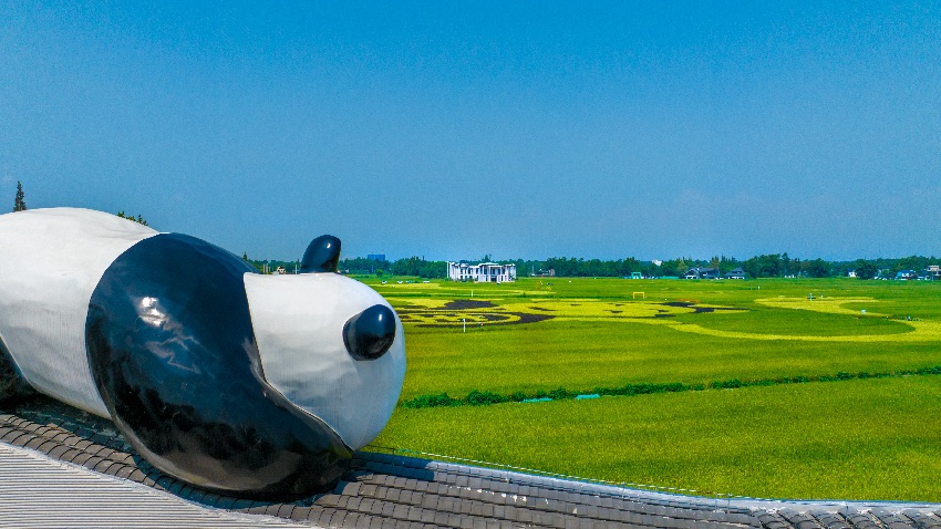 美麗的軍屯鎮(zhèn)天星村。新都區(qū)融媒體中心供圖