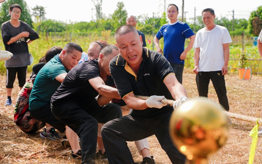 正在進行拔河比賽。青白江區委宣傳部供圖