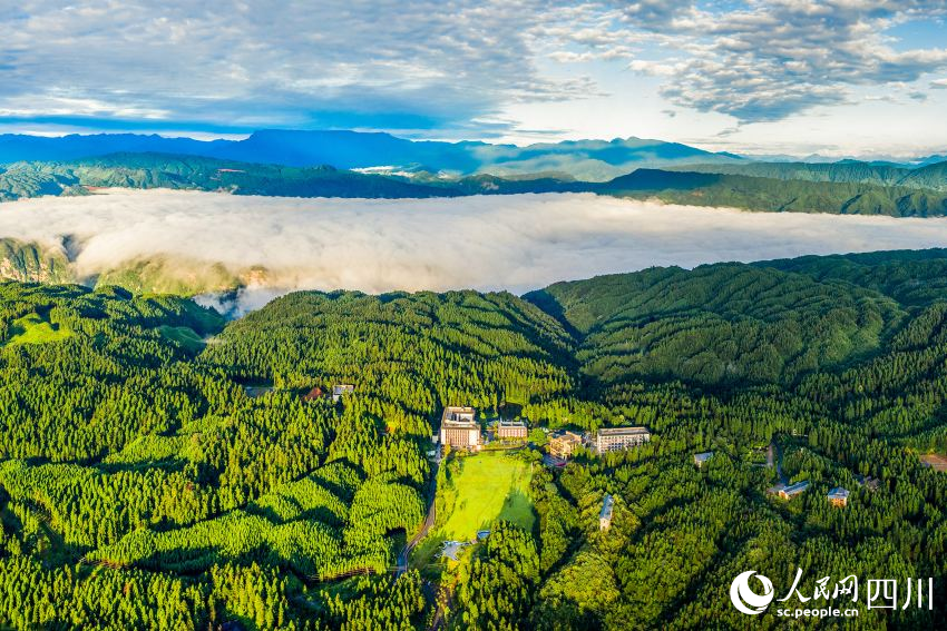 全國首批森林康養體驗基地——洪雅玉屏山。張佳豪攝