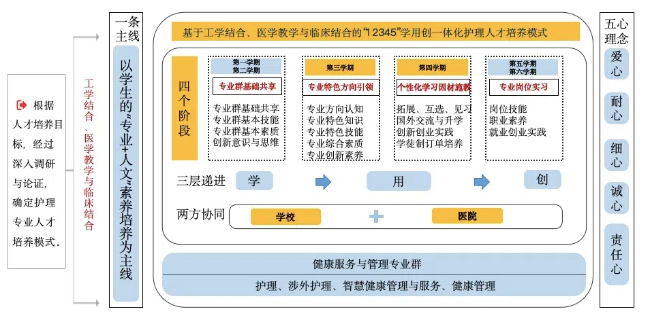 學院護理人才培養模式。四川國際標榜職業學院醫藥健康學院供圖