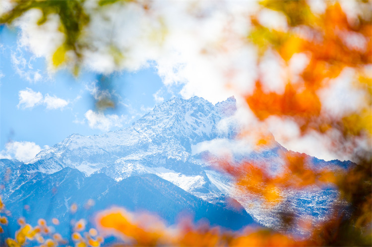 彩林遠處的冰山。黑水縣文廣旅局供圖