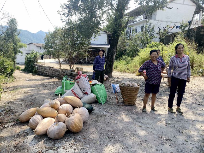 宣漢縣大成鎮真情幫扶，為村民賣南瓜。宣漢縣委宣傳部供圖