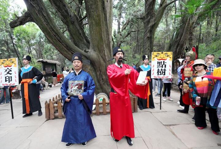 《點樹交印》主題情景劇在四川劍閣翠云廊上演